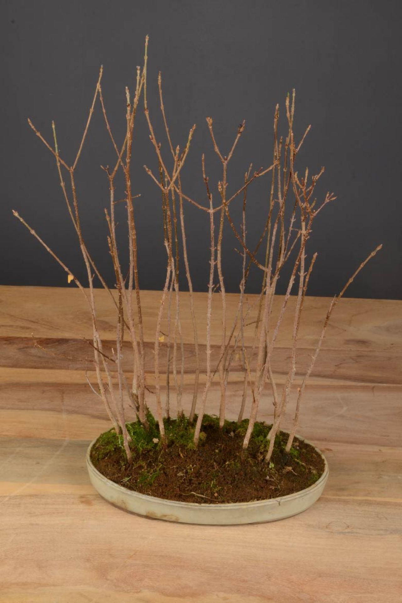 Ramo di bacche artificiale verde chiaro H35 | Maisons du Monde