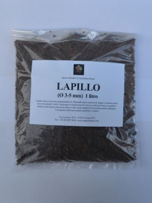 Immagine di Lapillo Lavato (1 L)