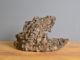 Immagine di Roccia Giapponese