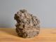Immagine di Roccia Giapponese