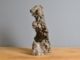 Immagine di Roccia Giapponese
