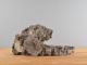 Immagine di Roccia Giapponese