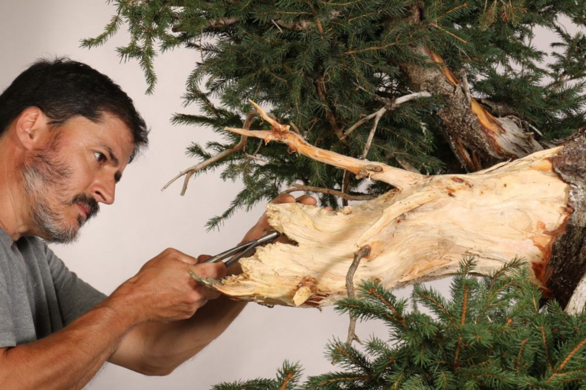 Immagine di Workshop con Andres Bicocca dal 6 al 9 Febbraio 2026 