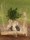 Immagine di Bonsai Ficus r.