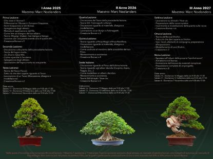 Immagine di Spazio Bonsai School con Marc Noelanders dal 2 al 3 Maggio 2026