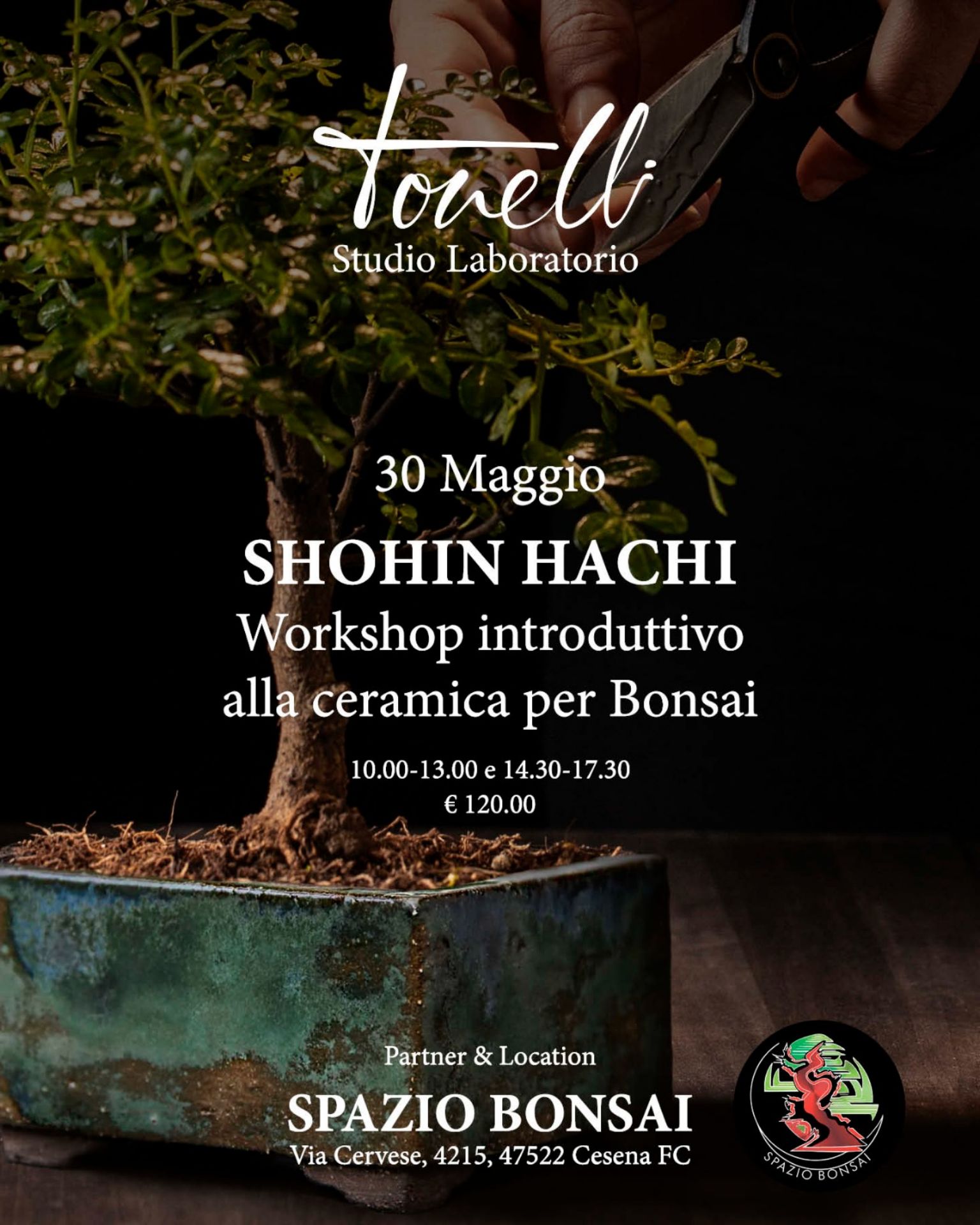 Immagine di Workshop Ceramica per Bonsai 