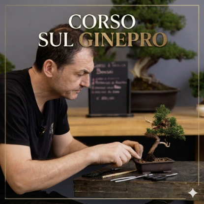 Immagine di Corso Online Ginepro