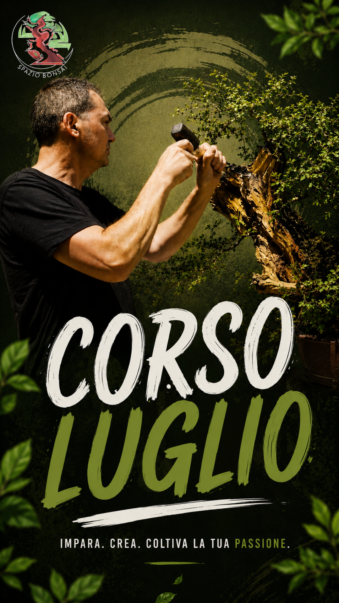 Immagine di Spazio Bonsai - Luglio 2026