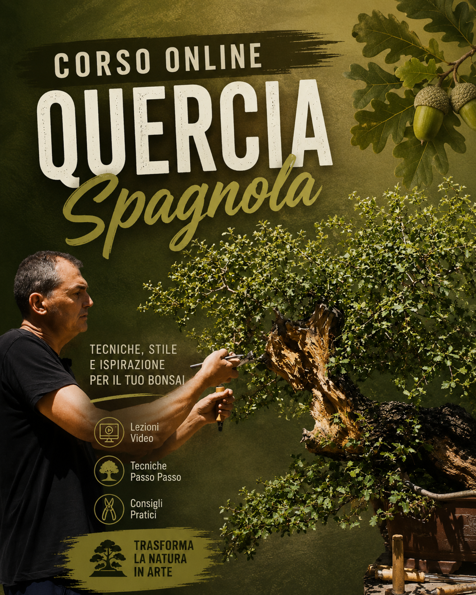 Immagine di Corso Online Quercia Spagnola