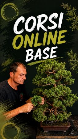 Immagine per la categoria Corsi Online - BASE