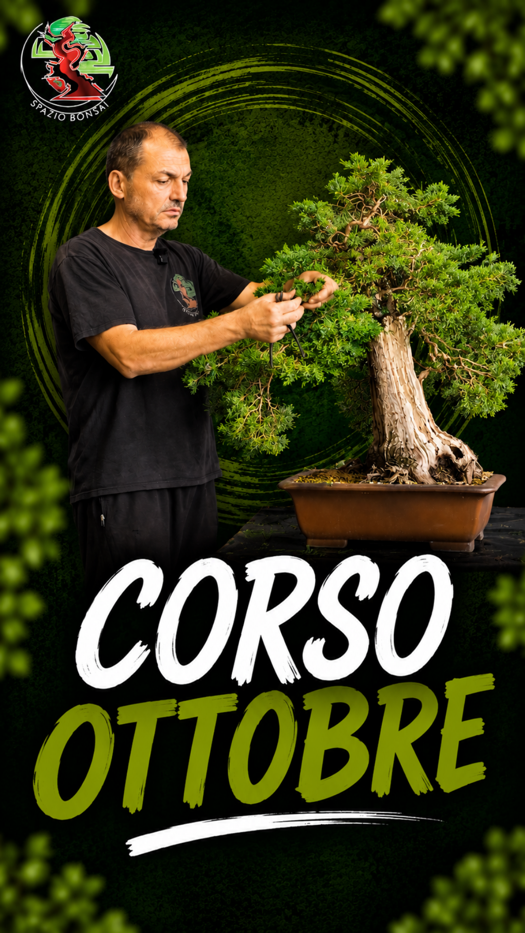 Immagine di Spazio Bonsai - Ottobre 2026